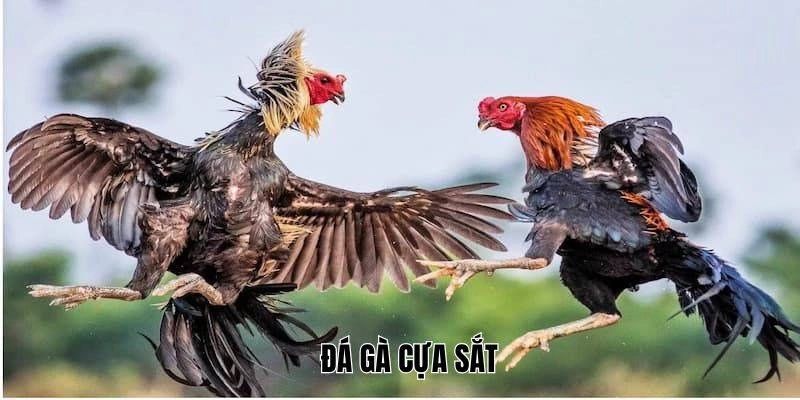 Tránh những sai lầm để không bị thua ngoài ý muốn