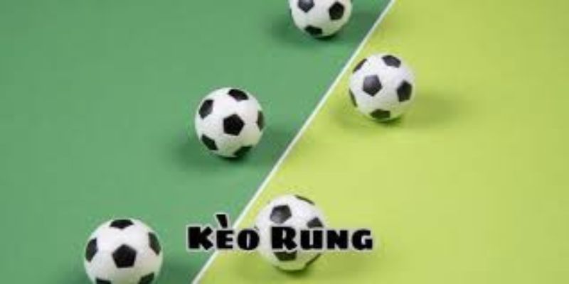 Đa dạng các thể loại kèo rung lựa chọn