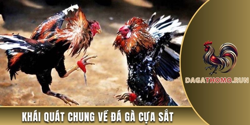 Giới thiệu đá gà cựa sắt u888 là gì