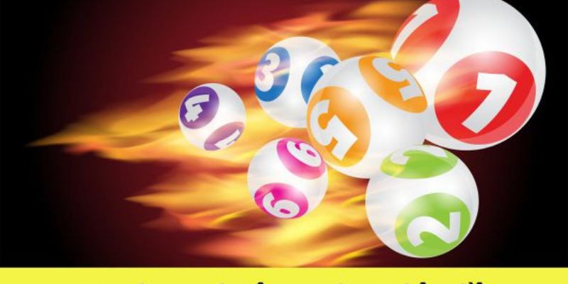 Học hỏi thêm nhiều kinh nghiêm nuôi lô u888