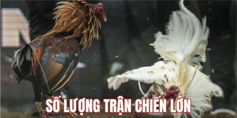 Sân chơi u888 đa dạng các thể loại lựa chọn