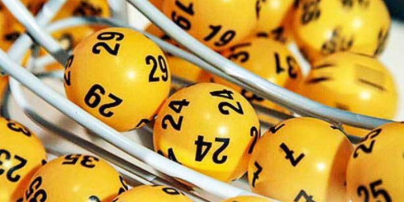 Tìm hiểu nuôi dàn dể u888 là gì