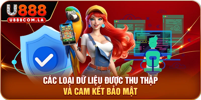 Các loại dữ liệu được thu thập và cam kết bảo mật