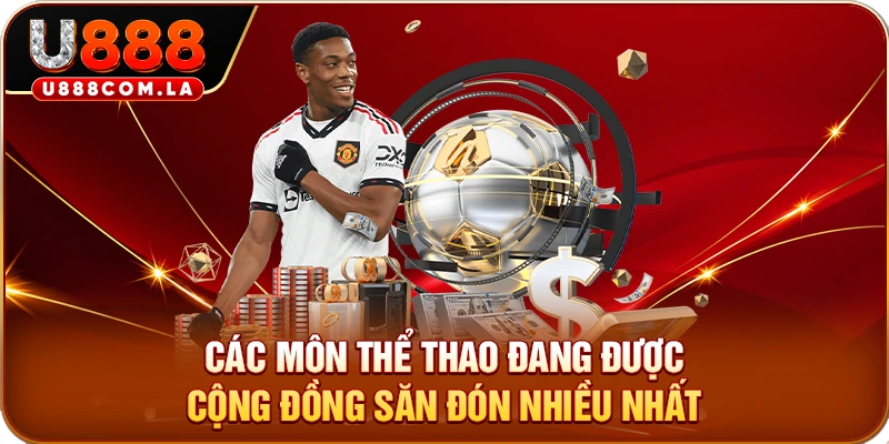 Các môn thể thao đang được cộng đồng săn đón nhiều nhất