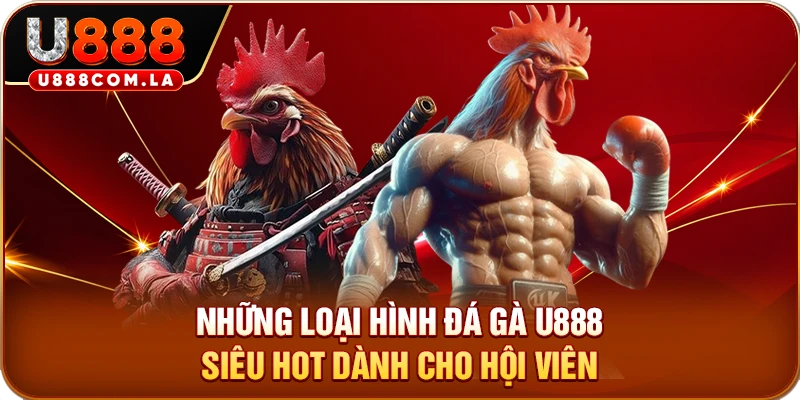Những loại hình đá gà U888 siêu hot dành cho hội viên