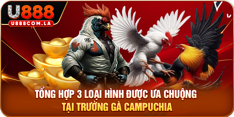 Tổng hợp 3 loại hình được ưa chuộng tại trường gà Campuchia